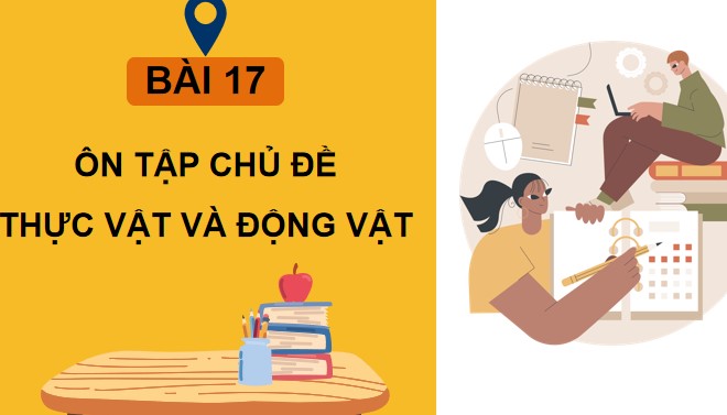 TNXH 3 bai 17 2*866164