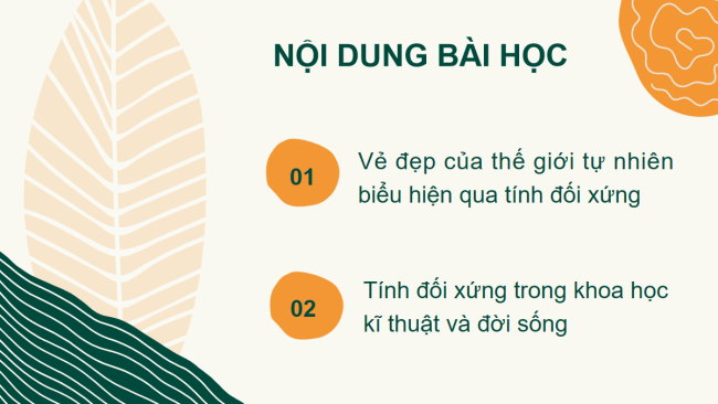 PowerPoint Toán 6 Bài 3: Vai trò của tính đối xứng trong thế giới tự nhiên
