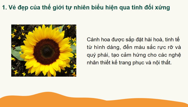 PowerPoint Toán 6 Bài 3: Vai trò của tính đối xứng trong thế giới tự nhiên