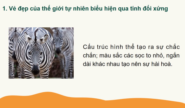 PowerPoint Toán 6 Bài 3: Vai trò của tính đối xứng trong thế giới tự nhiên