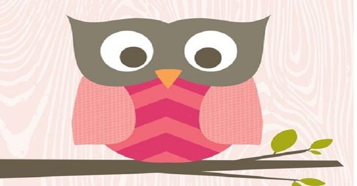 Vì sao cú chỉ đi ăn đêm