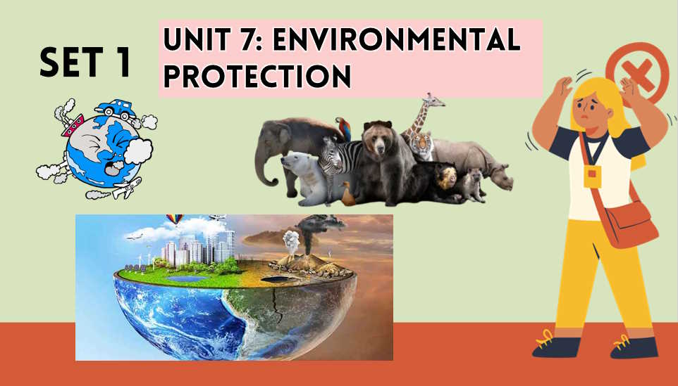 Giáo án Tiếng Anh 8 Review 3: Language