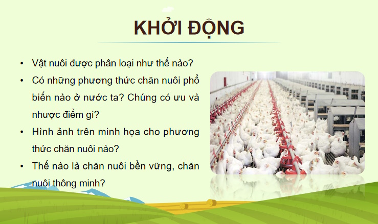 Giáo án PowerPoint Công nghệ Chăn nuôi 11