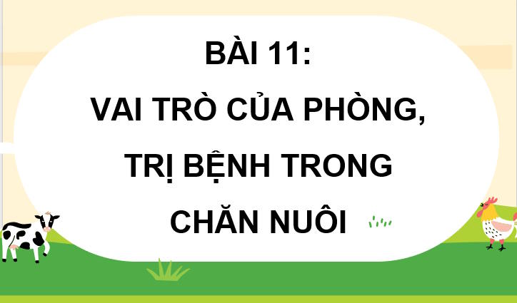 Giáo án PowerPoint Công nghệ Chăn nuôi 11 Bài 11