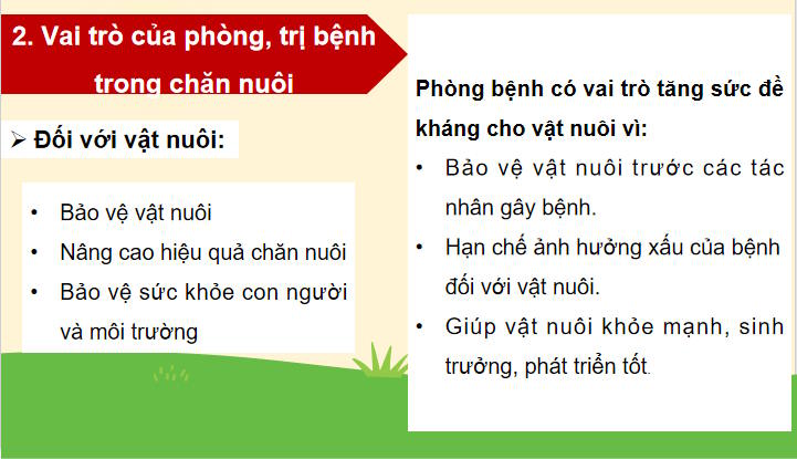 Giáo án PowerPoint Công nghệ Chăn nuôi 11 Bài 11
