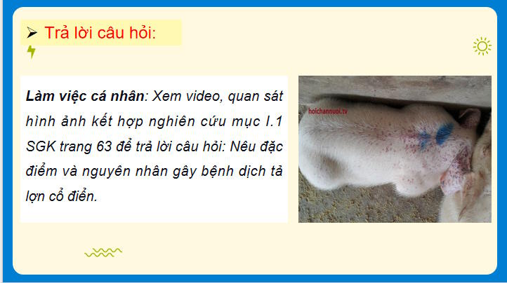 Giáo án PowerPoint Công nghệ Chăn nuôi 11 Bài 12