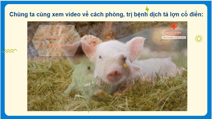 Giáo án PowerPoint Công nghệ Chăn nuôi 11 Bài 12