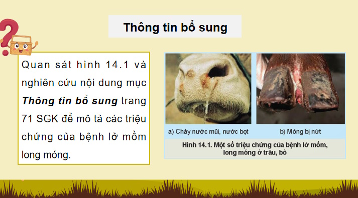 Giáo án PowerPoint Công nghệ Chăn nuôi 11 Bài 14