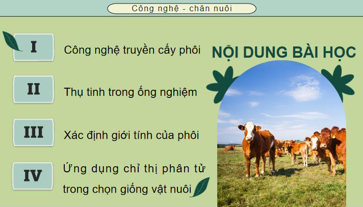 Giáo án PowerPoint Công nghệ Chăn nuôi 11 Bài 6