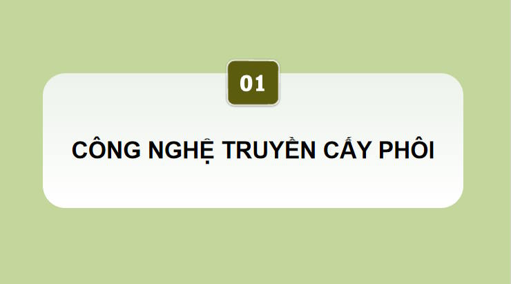 Giáo án PowerPoint Công nghệ Chăn nuôi 11 Bài 6