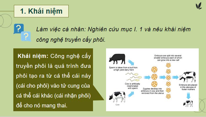 Giáo án PowerPoint Công nghệ Chăn nuôi 11 Bài 6