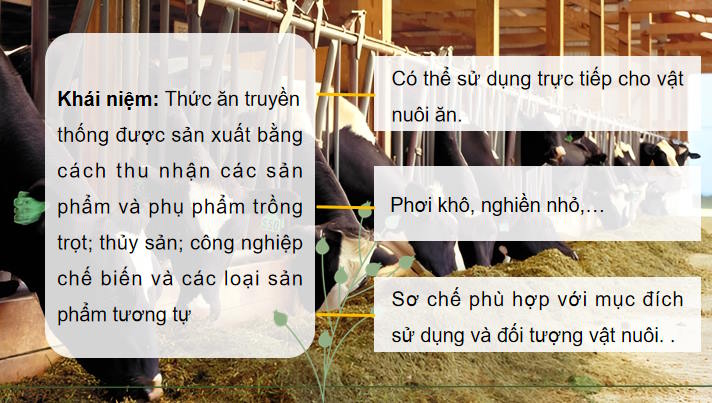 Giáo án PowerPoint Công nghệ Chăn nuôi 11 Bài 8