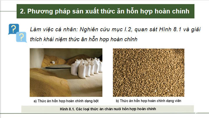 Giáo án PowerPoint Công nghệ Chăn nuôi 11 Bài 8