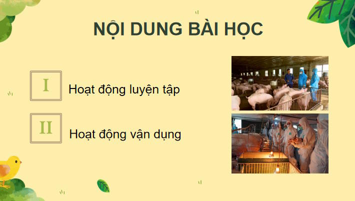 Giáo án Công nghệ Chăn nuôi 11 Ôn tập chương 2