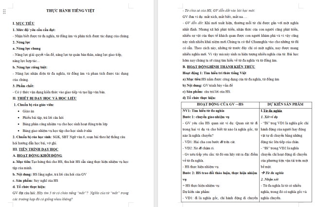 Giáo án Văn 6 Bài 7: Thực hành tiếng Việt
