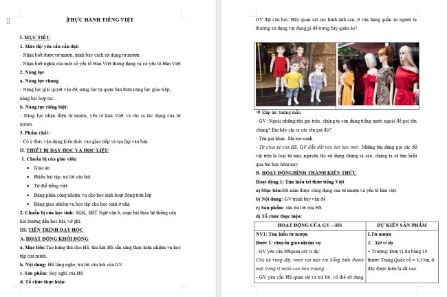 Giáo án Văn 6 Bài 8: Thực hành tiếng Việt