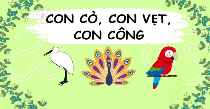 Con cò, con công và con vẹt