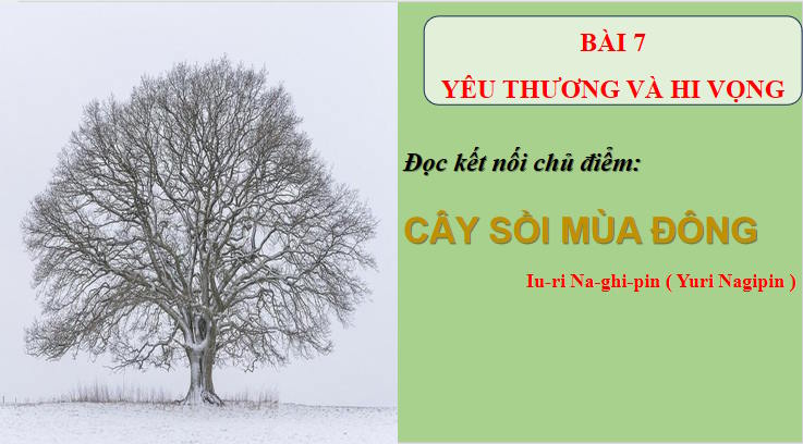 Giáo án Ngữ văn 8 Bài 7: Cây sồi mùa đông