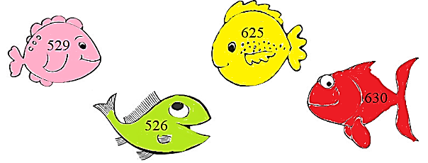 Giải vở bài tập Toán lớp 2 Em làm được những gì (trang 77) - Chân trời sáng tạo