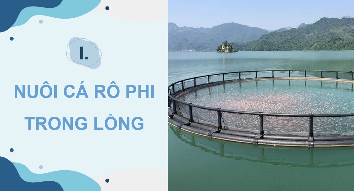 PowerPoint Công nghệ 12 Kết nối tri thức Bài Công nghệ nuôi một số loài thuỷ sản phổ biến ở Việt Nam