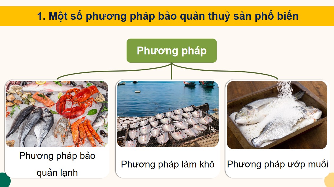 PowerPoint Công nghệ 12 KNTT Bài Bảo quản và chế biến sản phẩm thuỷ sản 
