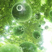 Giáo án Khoa học tự nhiên 6 Bài 7: Oxygen và không khí