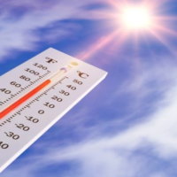 Giáo án Khoa học tự nhiên 6: Bài tập Chủ đề 1 và 2