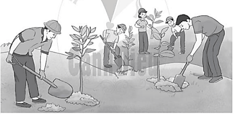 Vở bài tập Toán lớp 2 Bài 81: Luyện tập (trang 62) | Cánh diều