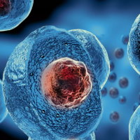 Giáo án Khoa học tự nhiên 6 Bài 12: Tế bào – đơn vị cơ sở của sự sống