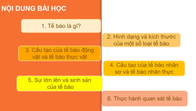 PowerPoint Khoa học tự nhiên 6 Bài 12: Tế bào – đơn vị cơ sở của sự sống
