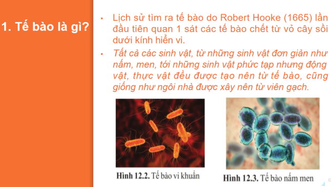 PowerPoint Khoa học tự nhiên 6 Bài 12: Tế bào – đơn vị cơ sở của sự sống