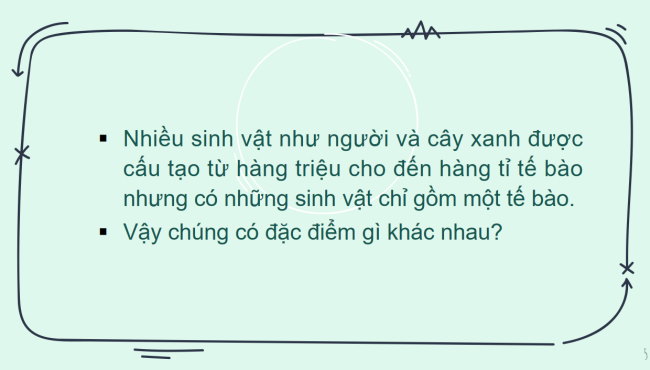 PowerPoint Khoa học tự nhiên 6 Bài 13: Từ tế bào đến cơ thể