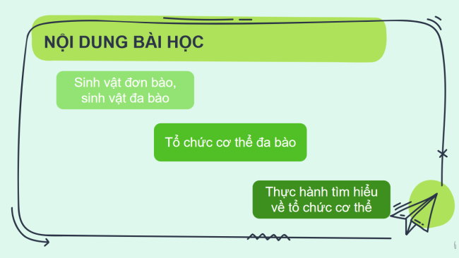 PowerPoint Khoa học tự nhiên 6 Bài 13: Từ tế bào đến cơ thể