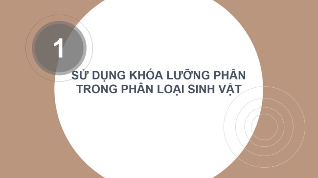 PowerPoint Khoa học tự nhiên 6 Bài 15: Khóa lưỡng phân