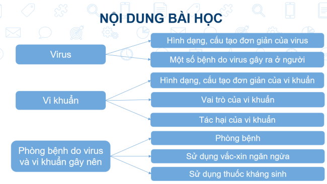 PowerPoint Khoa học tự nhiên 6 Bài 16: Virus và vi khuẩn