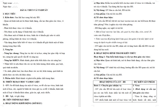 Giáo án KHTN 6 Bài 16: Virus và vi khuẩn