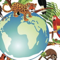 Giáo án Khoa học tự nhiên 6 Bài 17: Đa dạng nguyên sinh vật