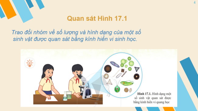 PowerPoint Khoa học tự nhiên 6 Bài 17: Đa dạng nguyên sinh vật