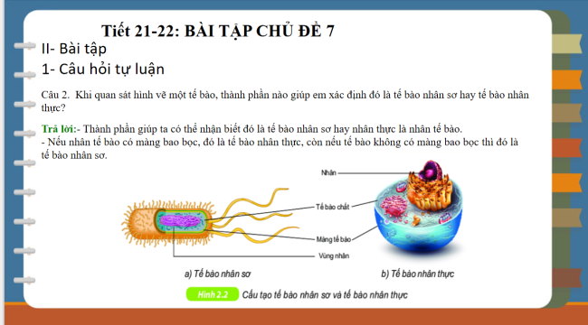 PowerPoint Khoa học tự nhiên 6 Bài tập Chủ đề 7