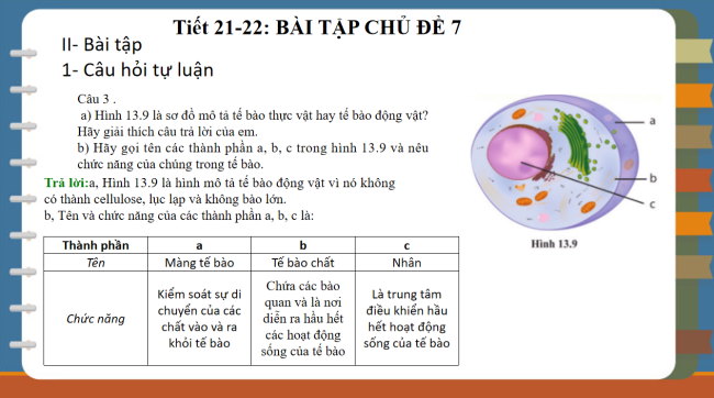 PowerPoint Khoa học tự nhiên 6 Bài tập Chủ đề 7