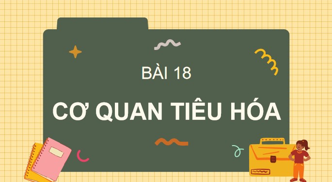 Tu nhien va xa hoi 3 KNTT bai 18 2*871650