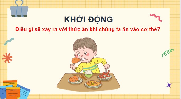 Tu nhien va xa hoi 3 KNTT bai 18 4*871652