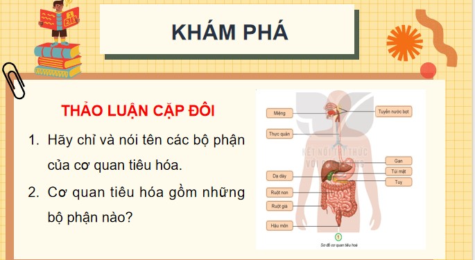 Tu nhien va xa hoi 3 KNTT bai 18 5*871651