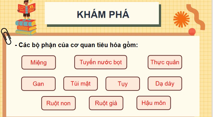Tu nhien va xa hoi 3 KNTT bai 18 6*871653