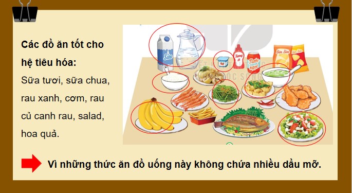 Tu nhien va xa hoi 3 KNTT bai 19 6*871739