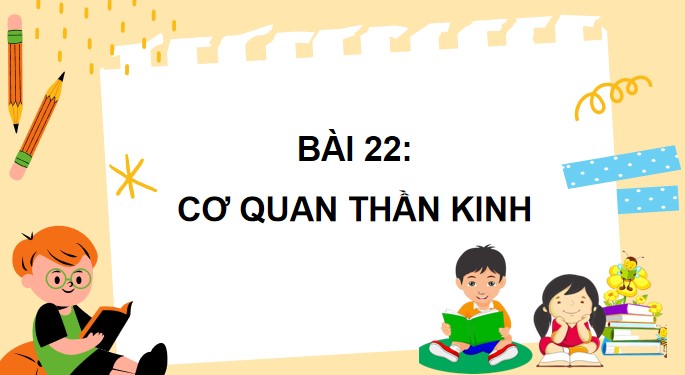 Tu nhien va xa hoi 3 KNTT bai 22 4*871780