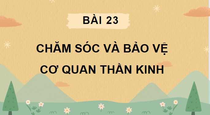 Tu nhien va xa hoi 3 KNTT bai 23 3*871786
