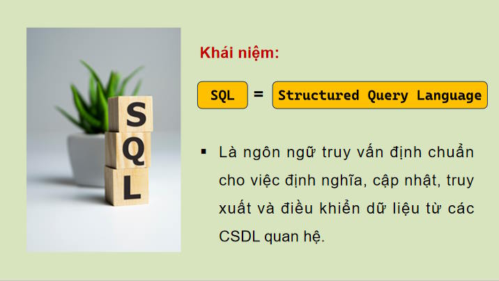 PowerPoint Tin học 11 Định hướng Tin học ứng dụng