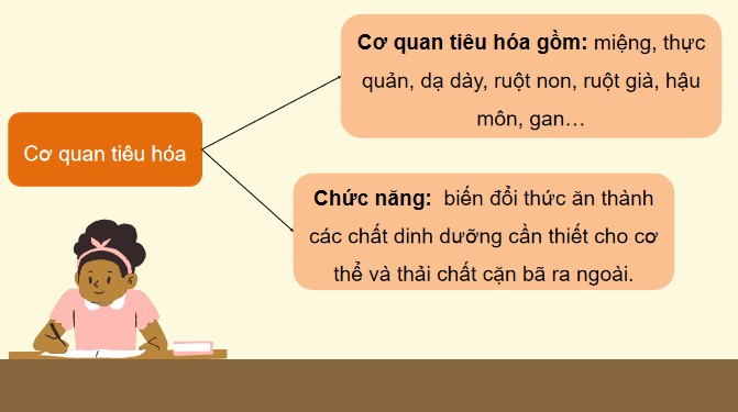 GA THXH 3 KNTT 3 bai 25 5*872112