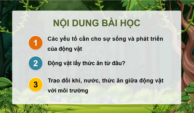 PowerPoint Khoa học 4 Bài 16: Nhu cầu sống của động vật